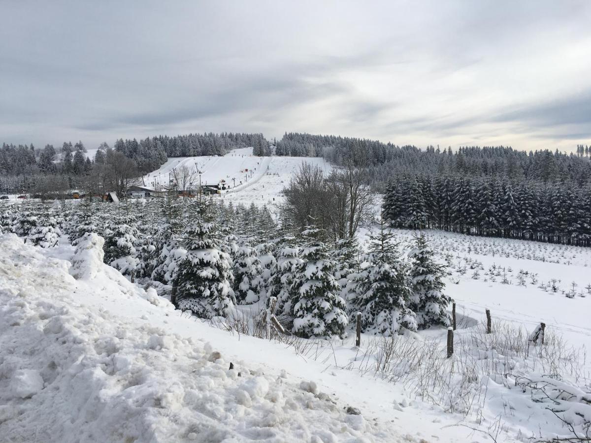 Cityappartement Feldstrasse Winterberg Buitenkant foto